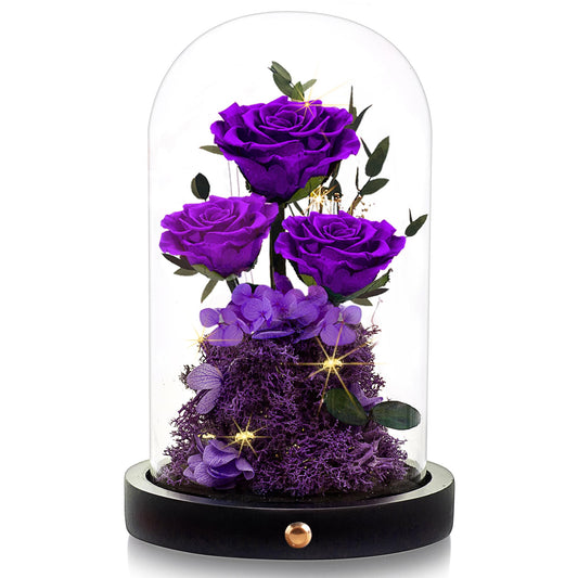 Valentines Day Flowers Roses Gifts for Her,Forever Real Preserved Roses in Glass Dome,Valentines Day Anniversary Birthday Gifts for Wife Girlfriend Women Mom Best Friend Her/Purple Rose